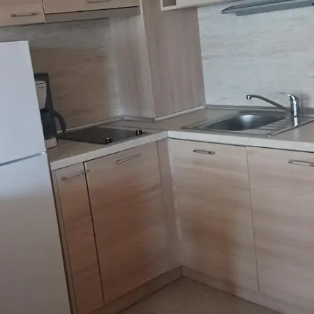 Byala Palace Apartment *